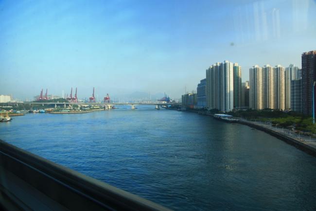 1262_resize.jpg